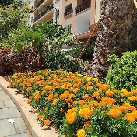 Edificio Jardin Apartman *